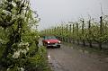 MG Bloesemrit op 24-4-2016 org. Jos&Marie-lou  (109)